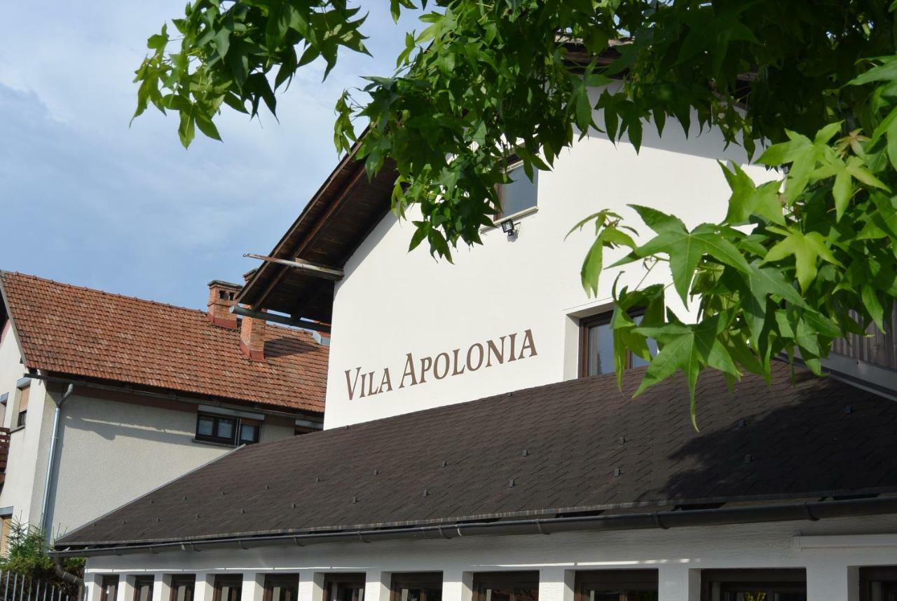 Apolonia